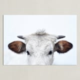 "Wee Staredown" - Art Print in Farm by Amy Carroll - Unframed