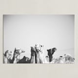 "Leader of the Pack" - Art Print in Black and White by Heather Marie - Unframed