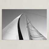 "Sail with Me" - Art Print in Metal by Crystal Lynn Collins - Unframed