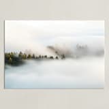 "Revealing II" - Art Print in Seaweed Green by Tania Medeiros - Unframed