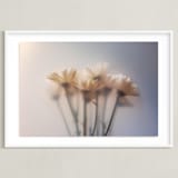"Hazy Daisy" - Art Print in Lavender Violet by Aralyn Griesbach - Framed