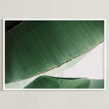 "leaf & light 1" - Art Print in deep ocean green by Alicia Abla - Framed