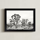 "Joshua Tree" - Art Print in joshua tree gray by Kristi Jackson - Framed