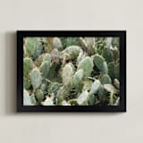 "A Cancun Cactus" - Art Print in Cactus Green by Kelsey McNatt - Framed