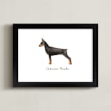 "Doberman Pinscher" - Art Print in Black by Megan Kelso - Framed