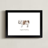 "English Bulldog" - Art Print in Brown by Megan Kelso - Framed