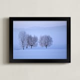 "Morning's Light" - Art Print in First Light by Leslie Le Coq - Framed