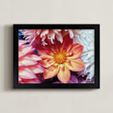 "Dahlia Mix II" - Art Print in Color Array by A MAZ Design - Framed