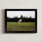 "Unicorn Pony" - Art Print in Grass by Meghan Benge - Framed