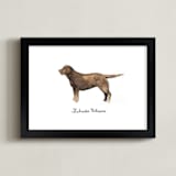 "Labrador Retriever" - Art Print in Brown by Megan Kelso - Framed