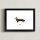 "Dachshund" - Art Print in Brown by Megan Kelso - Framed