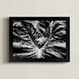 "Bold Leaf" - Art Print in Black by Alexis Arnold - Framed