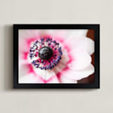 "Blushing Anemone" - Art Print in Blushing by Ilze Lucero - Framed