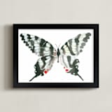 "Zebra Swallowtail" - Art Print in ebony by Betty Hatchett - Framed