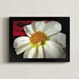 "Pure White Dahlia" - Art Print in Pure White by A MAZ Design - Framed