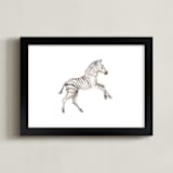 "Watercolor Zebra foal takes off! " - Art Print in Black by Lauren Rogoff - Framed