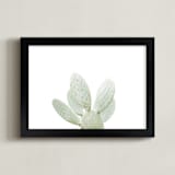"Paddle Cactus No. 2" - Art Print in Dusty Green by Owl and Toad - Framed