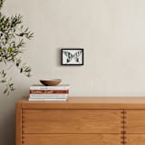 "Zebra Swallowtail" - Art Print in ebony by Betty Hatchett - In a Room