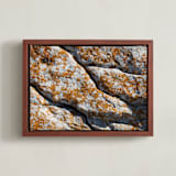 "Mediterranean Lichen" - Art Print in curcuma by Christiana Petschallies - Framed Canvas