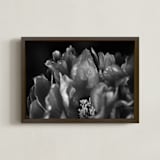 "Peony #1" - Art Print in Black and White by Lynn Lehto - Framed