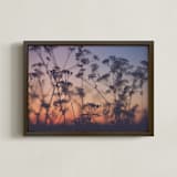 "Sunset among the grasses II" - Art Print in Red Fiery Violet by Lying on the grass - Framed
