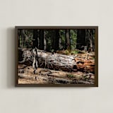 "Silence Fallen" - Art Print in Carmel by Elky Ink - Framed