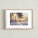 "WINTER LIGHT" - Art Print in GOLDEN LIGHT by Stacy Cooke - Framed