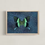"Fly Away #1" - Art Print in Outer Space Blue by Kisco Print Shop - Framed