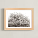 "bloom I" - Art Print in blossom by Sara Hicks Malone - Framed