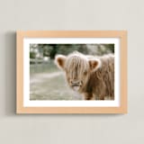 "The Silly Little Cow" - Art Print in Blondie by Chelsea Victoria - Framed