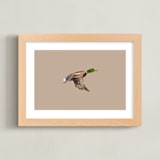 "Mallards in Flight 1" - Art Print in Neutral by Anee Shah - Framed
