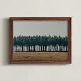 "Moody Trees" - Art Print in Pine by Zani van Zyl - Framed