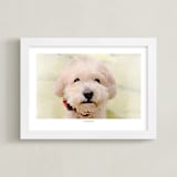 "Your Pet: Landscape Custom Text Print" - Custom Print in White by Minted - Framed