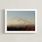"Airy Afternoons" - Art Print in Blue by Em Hale - Framed