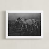 "Frolicking Fille" - Art Print in Charcoal Black by Hollie Renner Photography - Framed