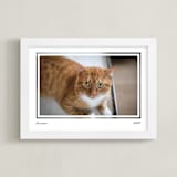 "Artifact: Landscape Framed Photo" - Framed Photo in Charcoal by Snow and Ivy - Framed