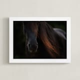 "Rocinante" - Art Print in Black by Amy Carroll - Framed