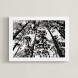 "In the Woods" - Art Print in black and white by lulu and isabelle - Framed