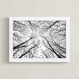 "Lost in the forest" - Art Print in Black and White by Magdalena Kucova - Framed