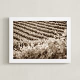 "Vineyard Seasons - June, No. 1" - Art Print in Warm Sepia by Shannon Howard - Framed
