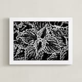 "BW Leaves" - Art Print in black by Alexis Arnold - Framed