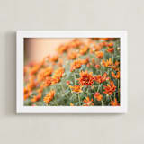 "Fall Mums" - Art Print in Fall by Erin Niehenke - Framed