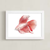 "Betta" - Art Print in True red by Lauren Rogoff - Framed