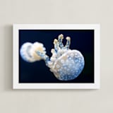 "Blue and White Jellyfish" - Art Print in Bright Blue by Gray Star Design - Framed