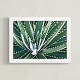 "Botanical VIIII" - Art Print in Aloe Green by Whitley Williams - Framed