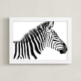 "Zebra Charcoal Drawing" - Art Print in Charcoal by Becky Nimoy - Framed