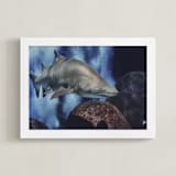 "Night Watch" - Art Print in Driftwood Grey by Hollie Renner Photography - Framed