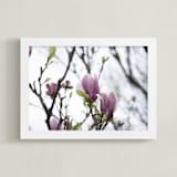 "Sugar Magnolia" - Art Print in Magnolia Pink by Karen Kaul - Framed