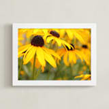 "Happy Sunflowers" - Art Print in Sunshine by Karen Kaul - Framed