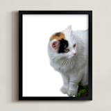 "Pretty Kitten" - Art Print in neutrals by Katrina Leandro - Framed